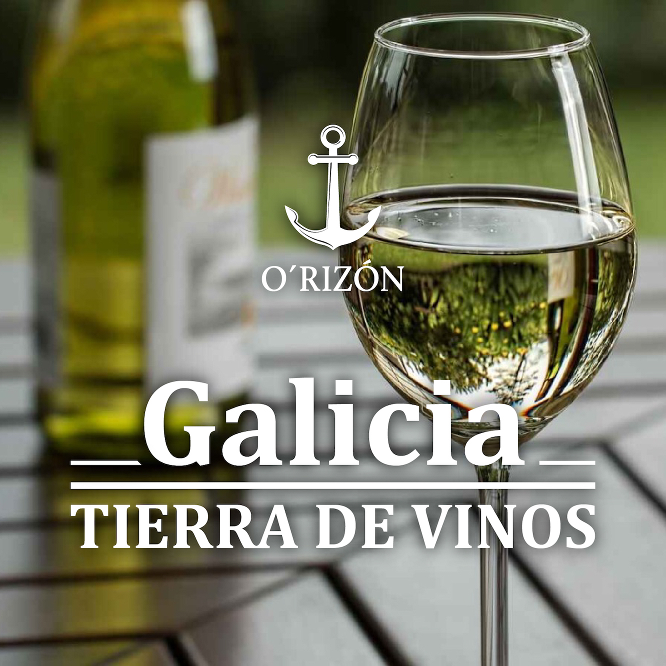 Galicia tierra de vinos. Disfrútalos en nuestro restaurante